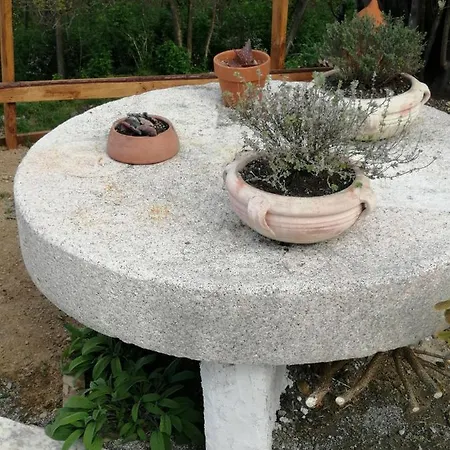 In Campagna