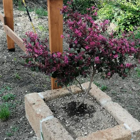 In Campagna * Λα Σπέτσια